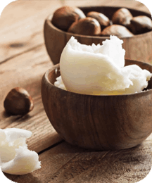 Balmorex Pro Ingredients